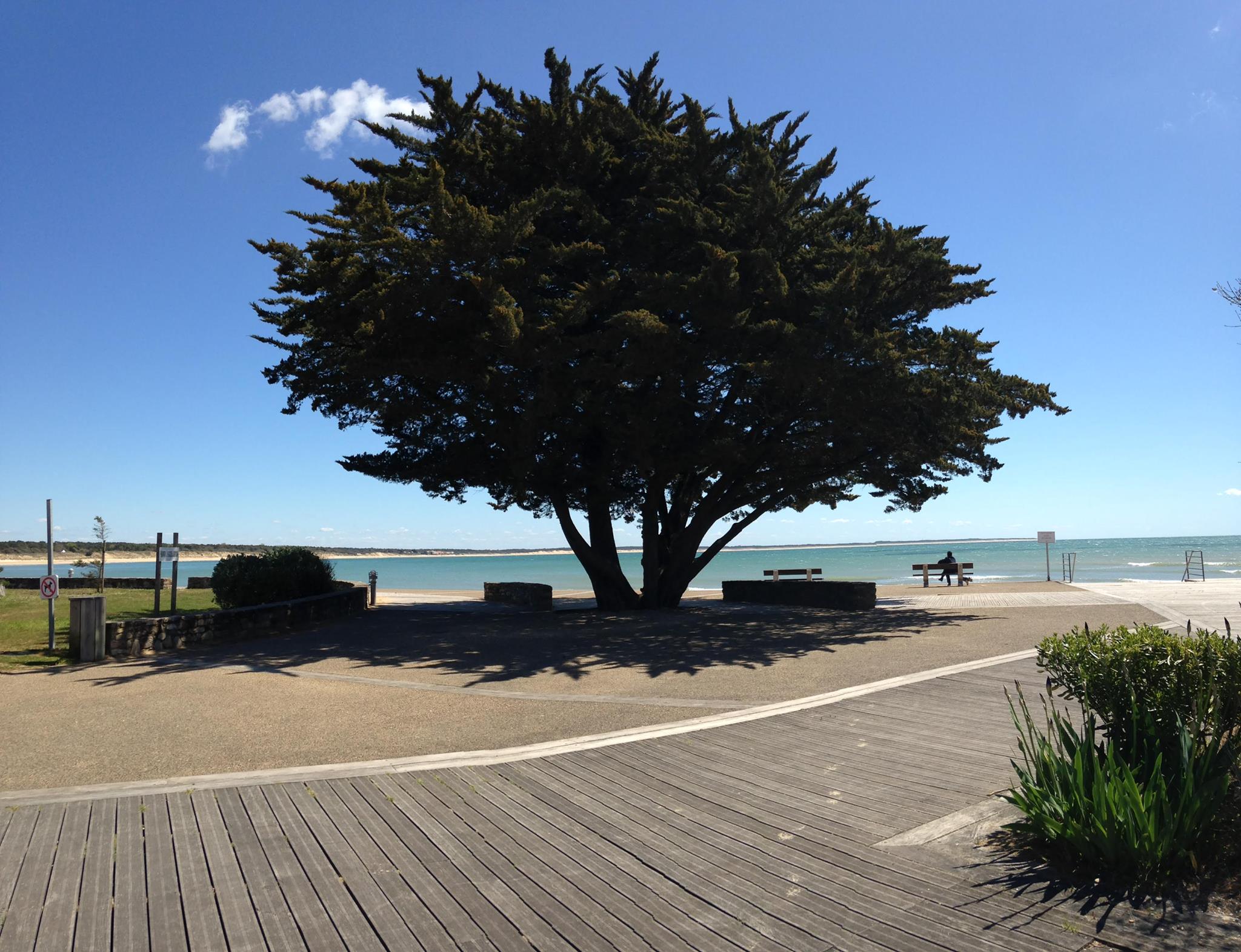 13217610_604425923049047_4495544286675320432_o