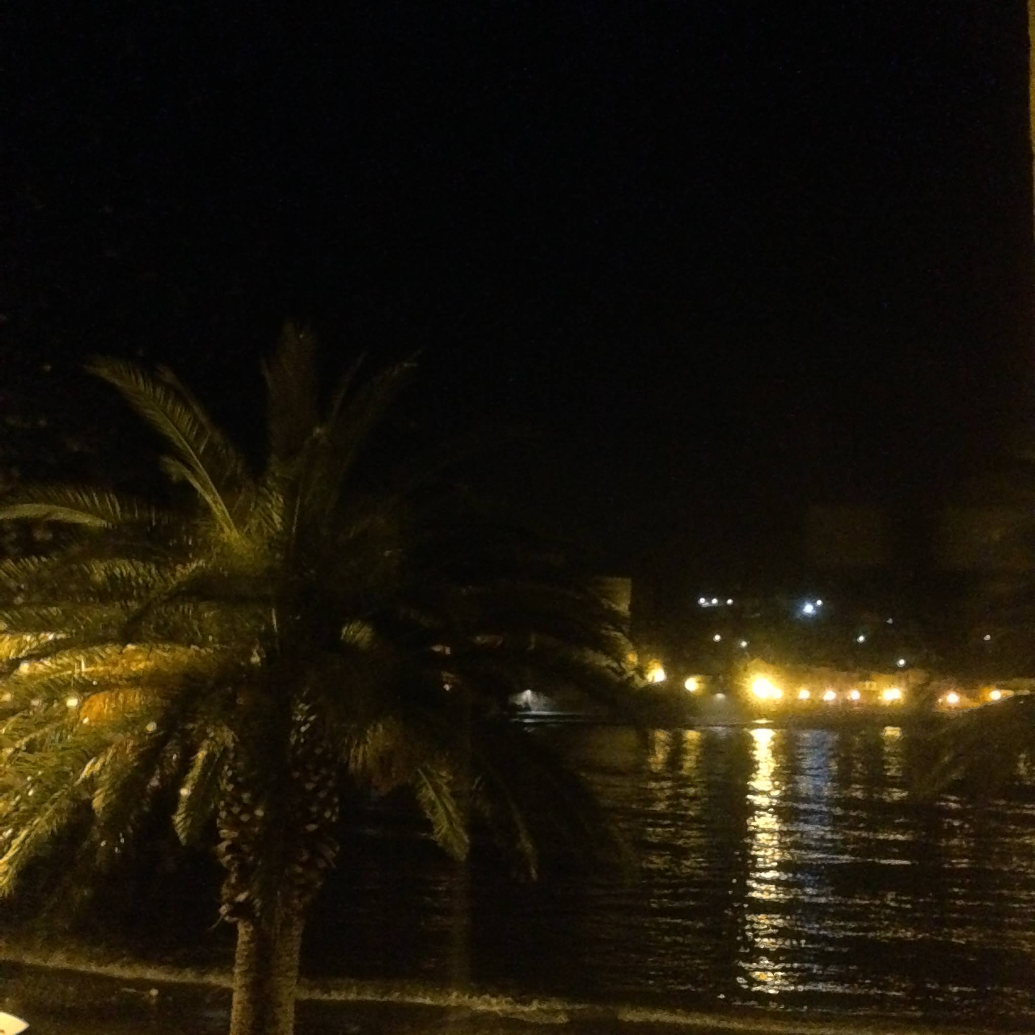 16462939_759173180907653_1012576299090454222_o