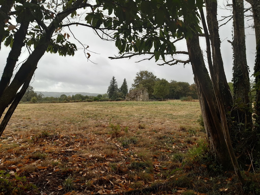 S&rsquo;il vint, le&nbsp;cher