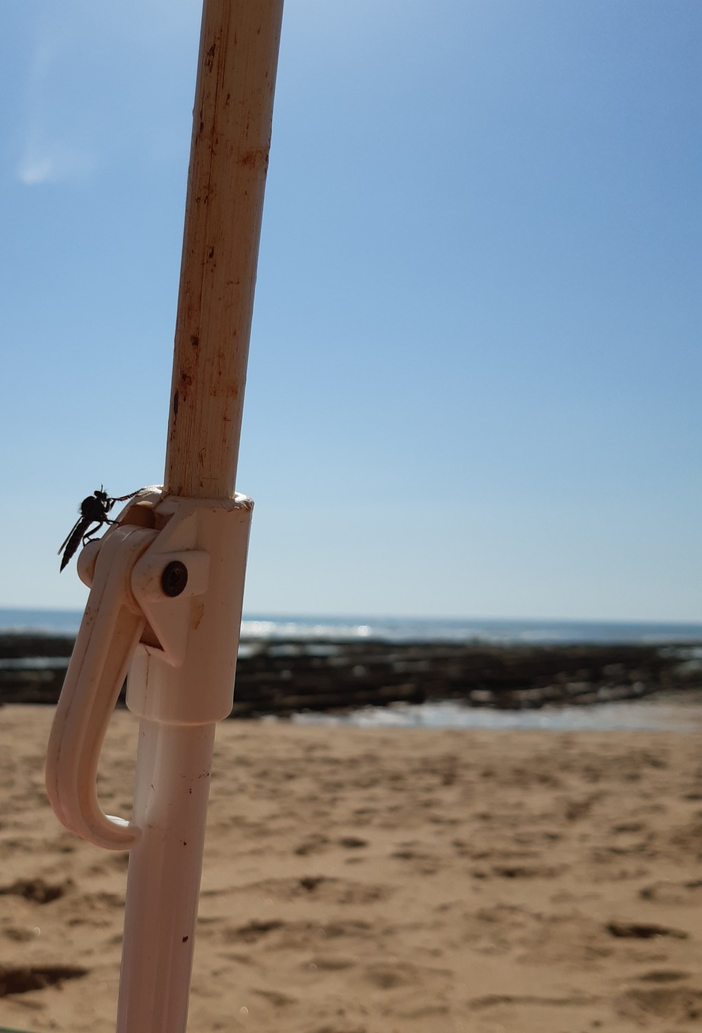 Qui a dit l&rsquo;amour&nbsp;?