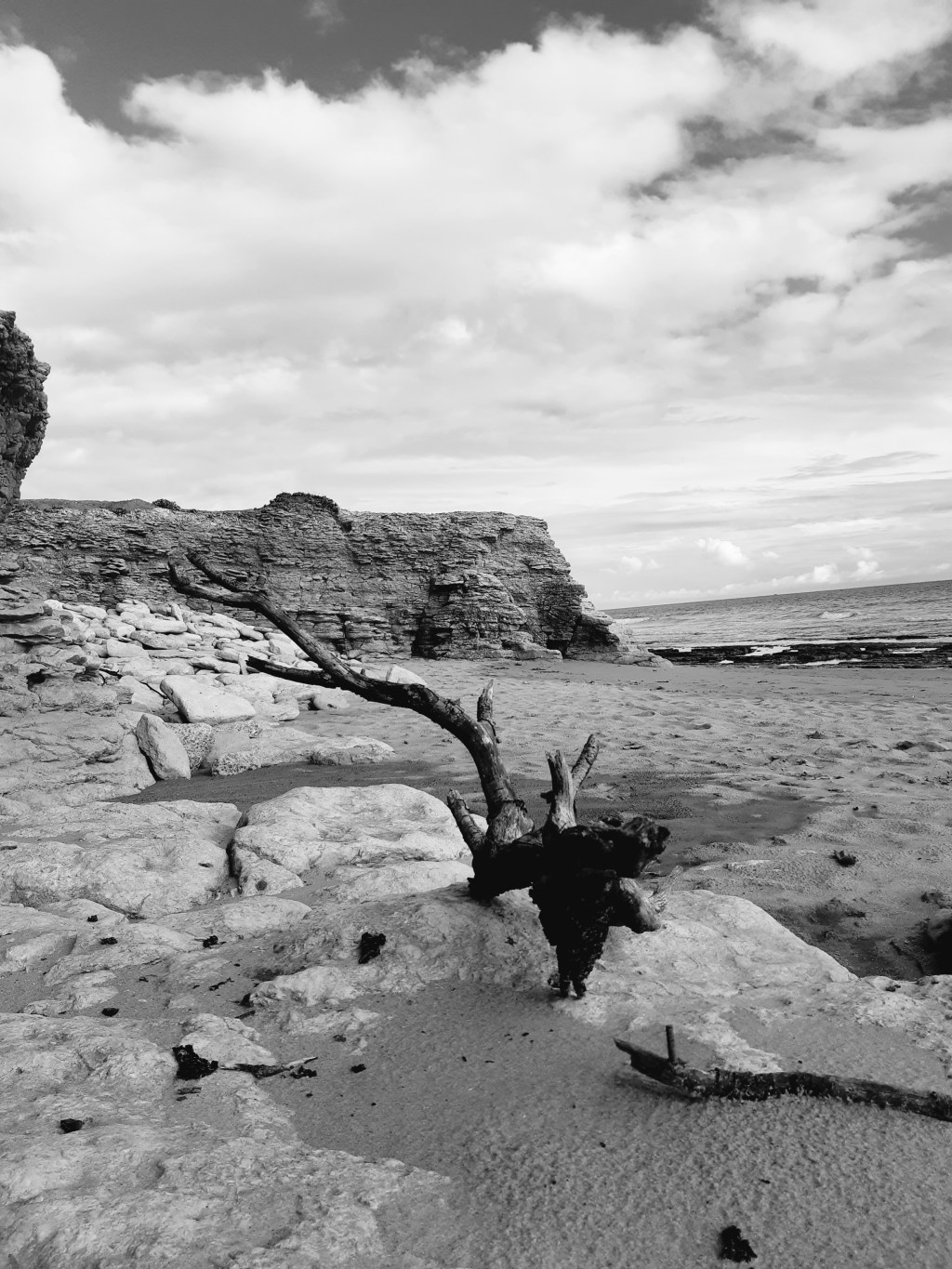 À la dune&nbsp;grise