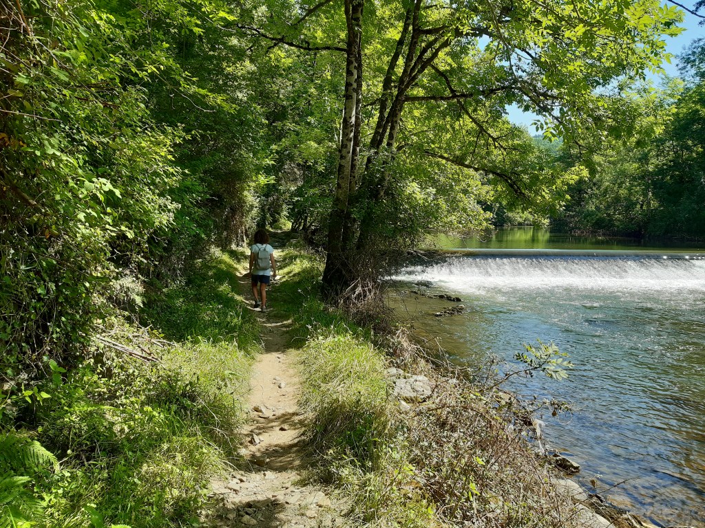 Ruisselle ruisselante