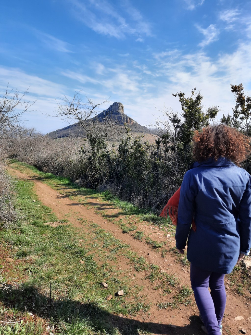 Trépidantes tocantes