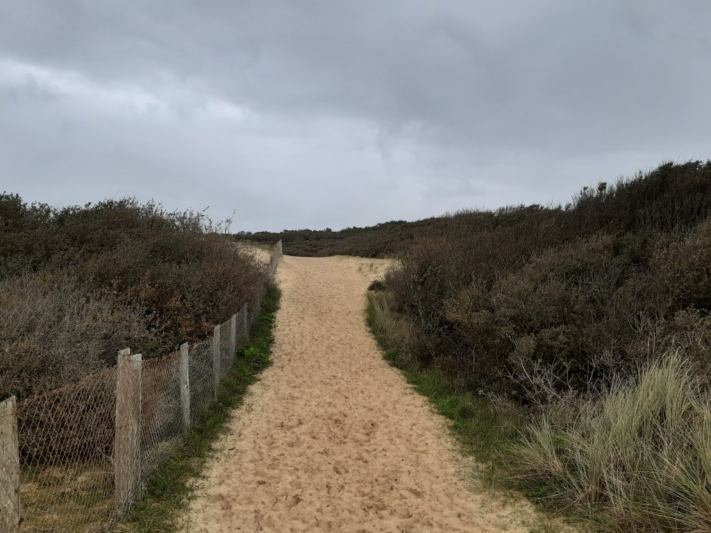 Curvilignes encordées