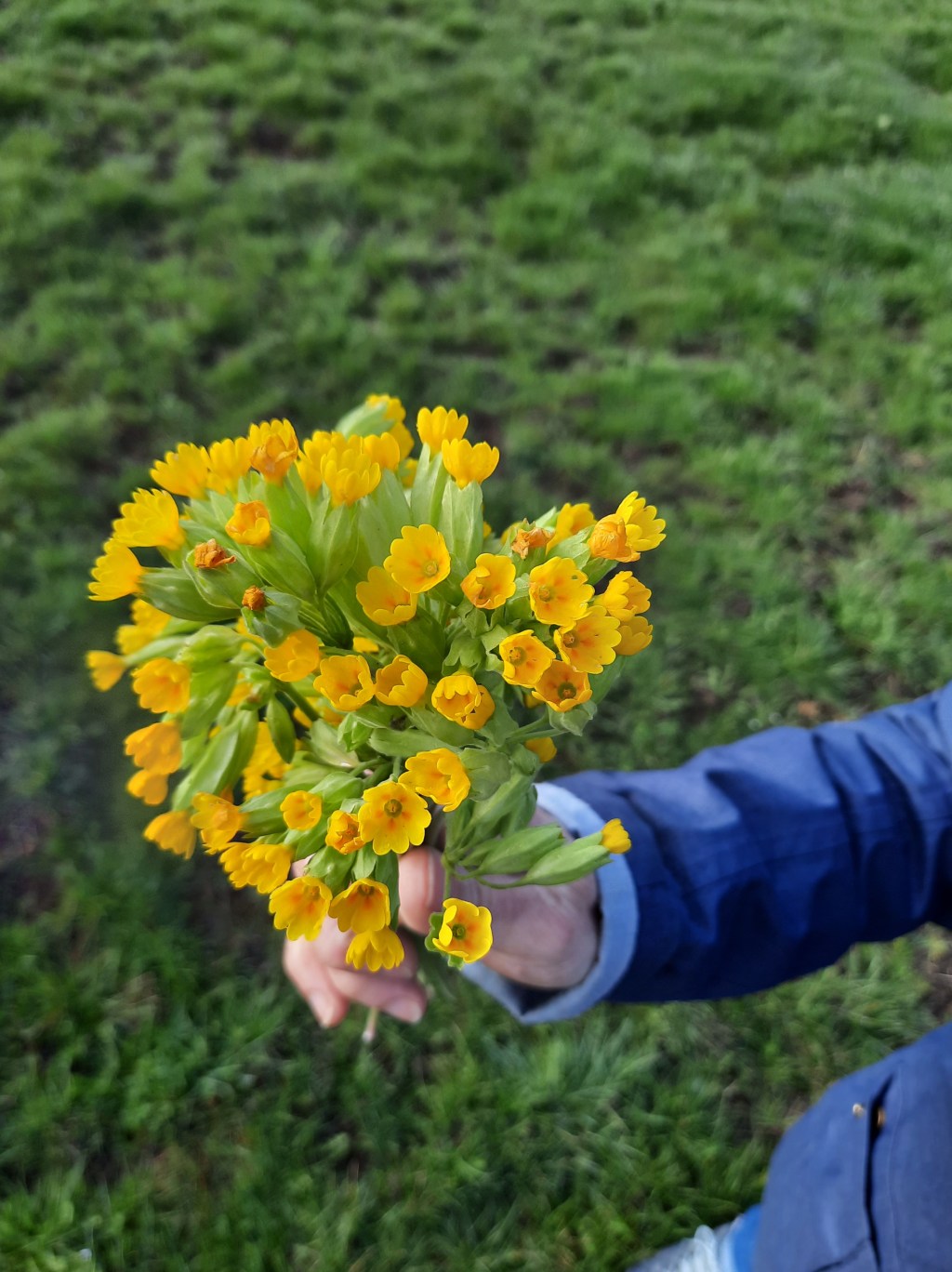 My heart belongs&nbsp;to