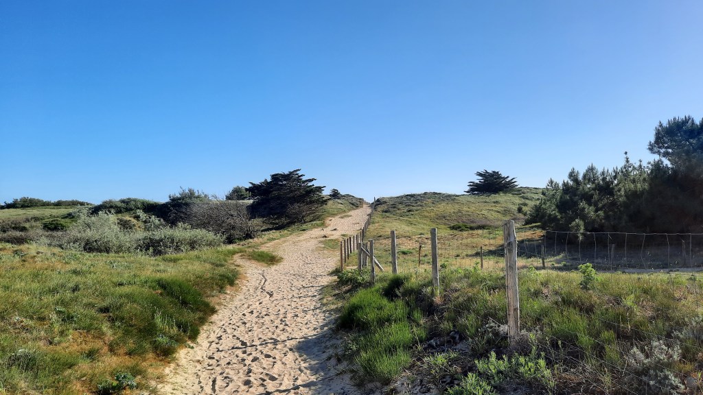 Ce matin, un&nbsp;cri