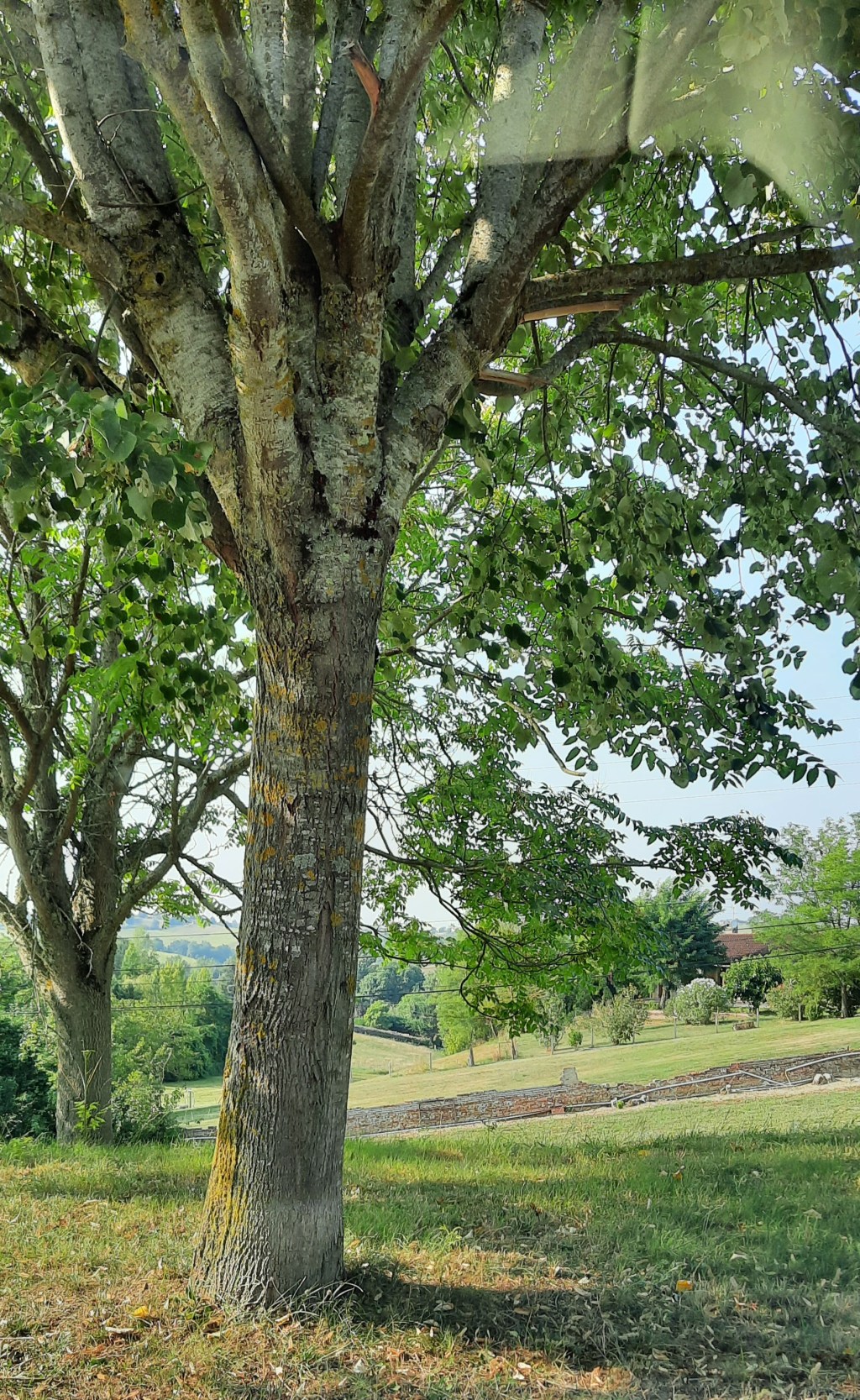 Just a pinch, une&nbsp;pincée