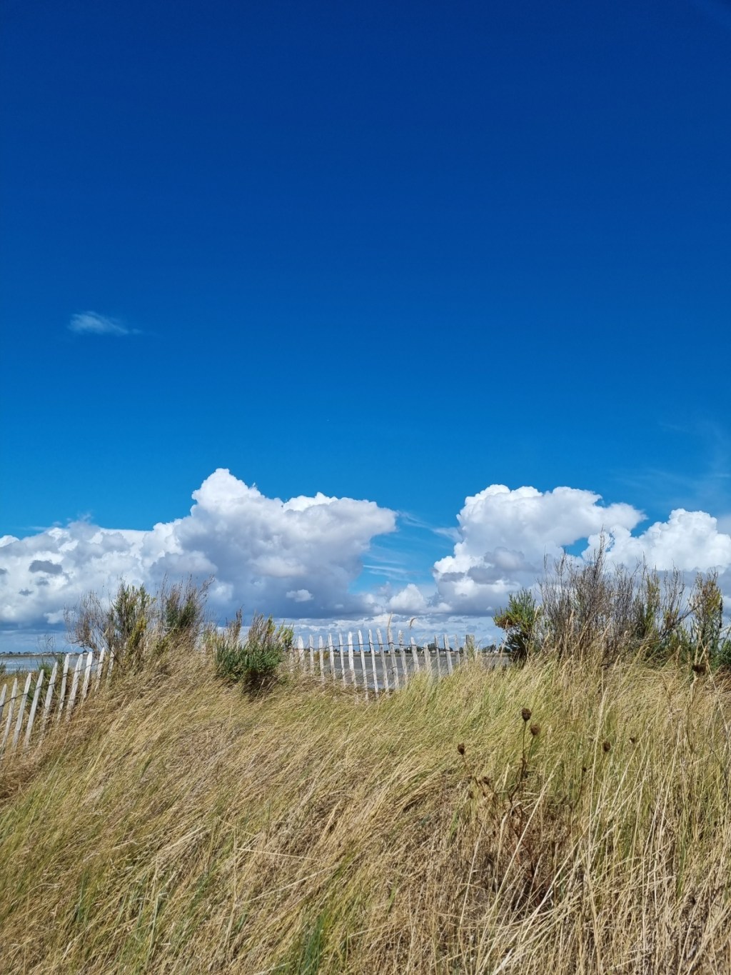 la poésie hèle là