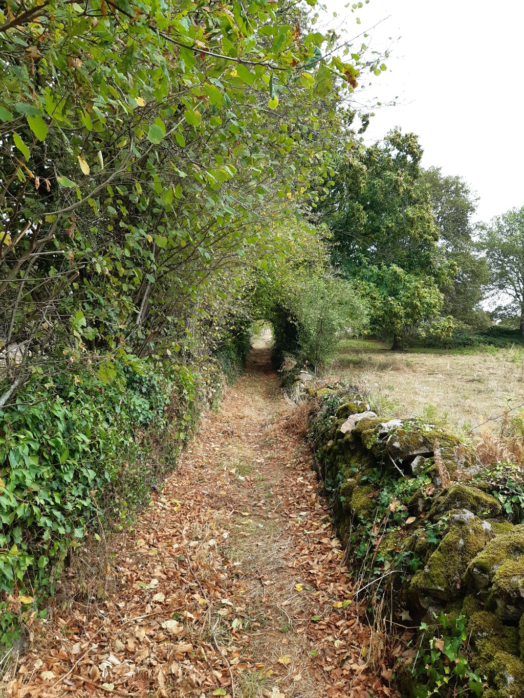 Mon père perpétuellement