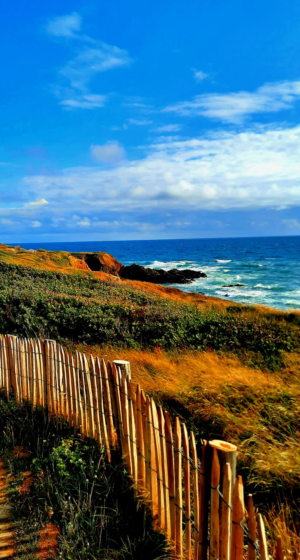 C&rsquo;est un amour&nbsp;océan