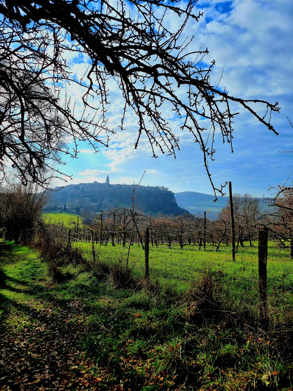 l&rsquo;appeau est si