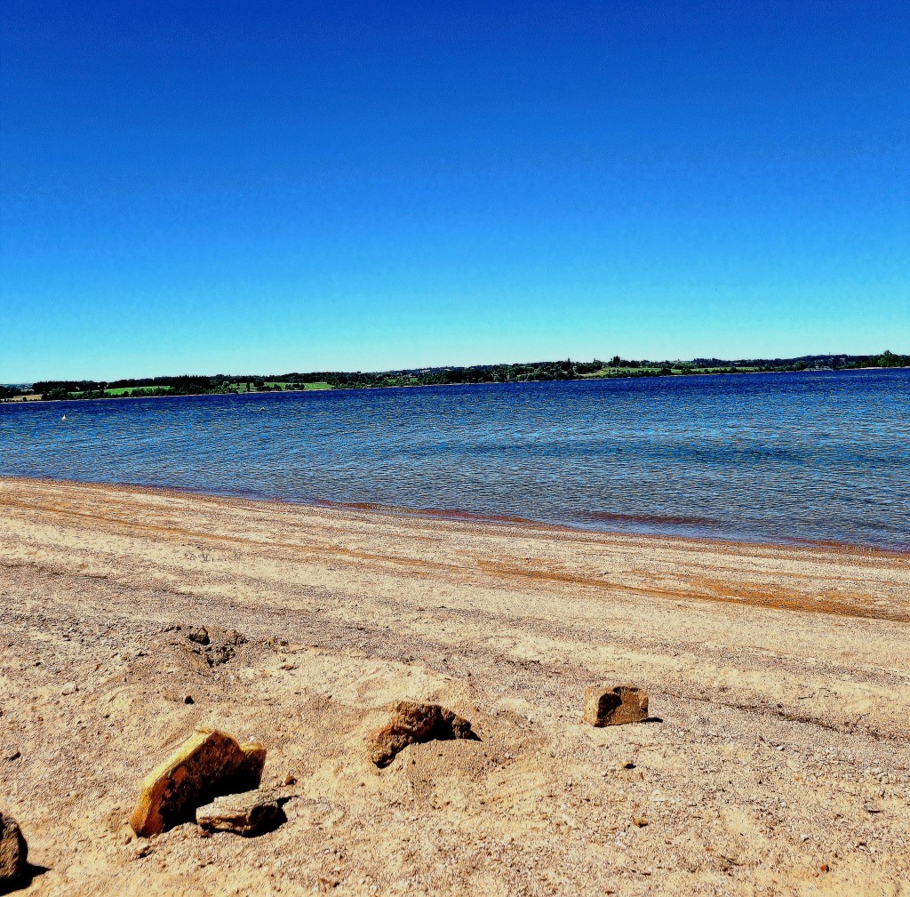 murmures enluminures