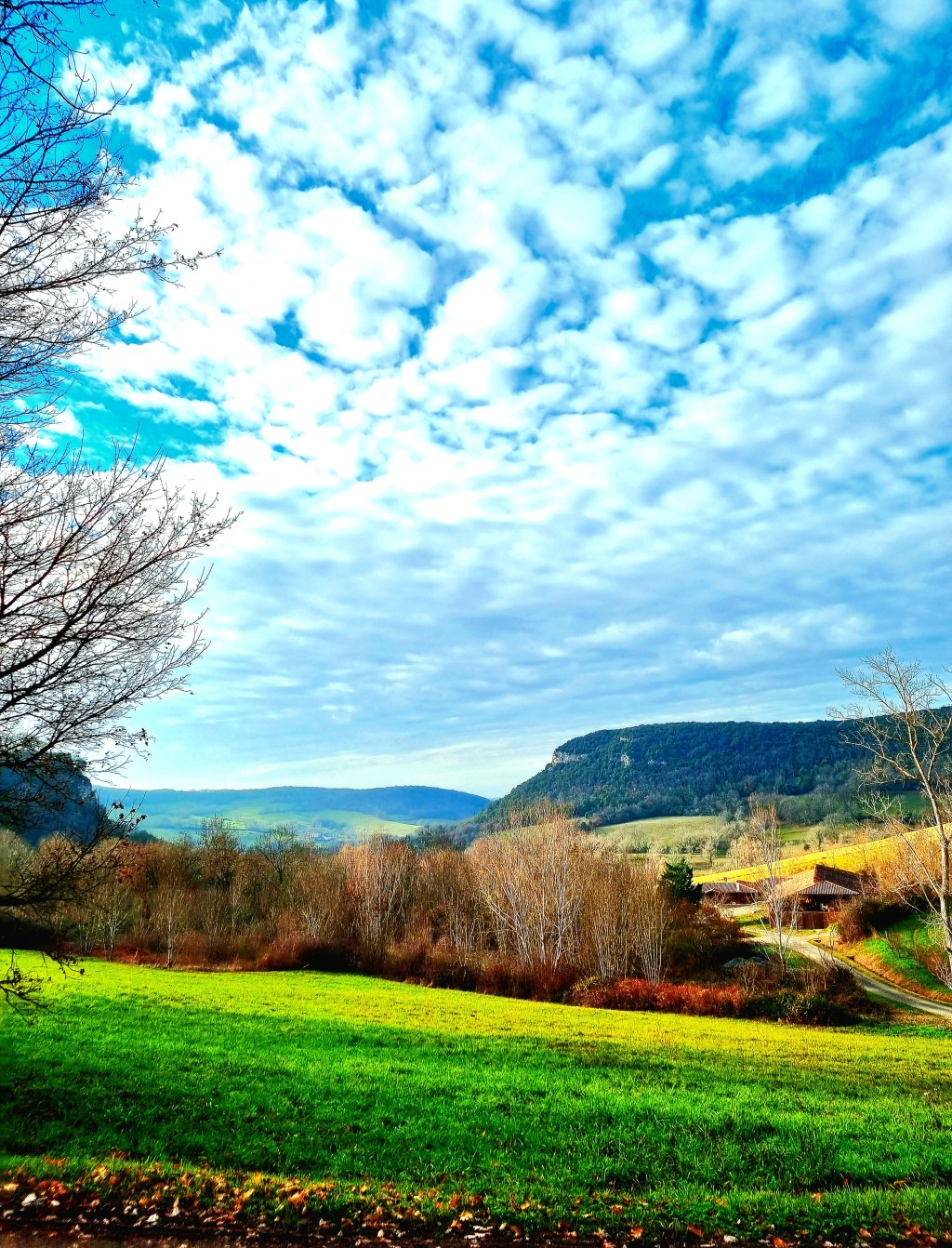 nos âmes vagabondes