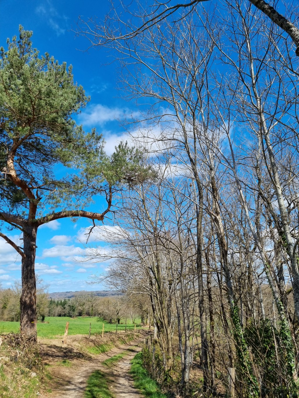 Un pas passe&nbsp;sable