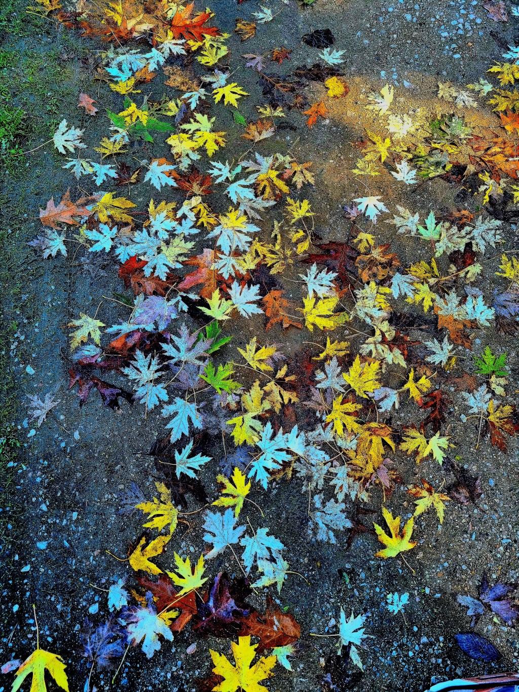 Novembre va s&rsquo;étirant