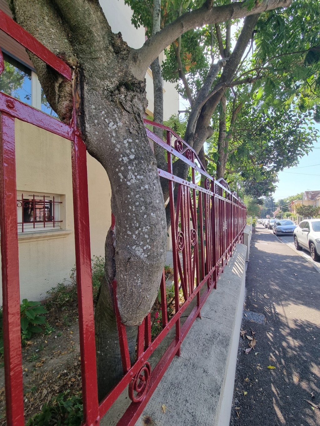 te voici bien contraint mon bel&nbsp;ami